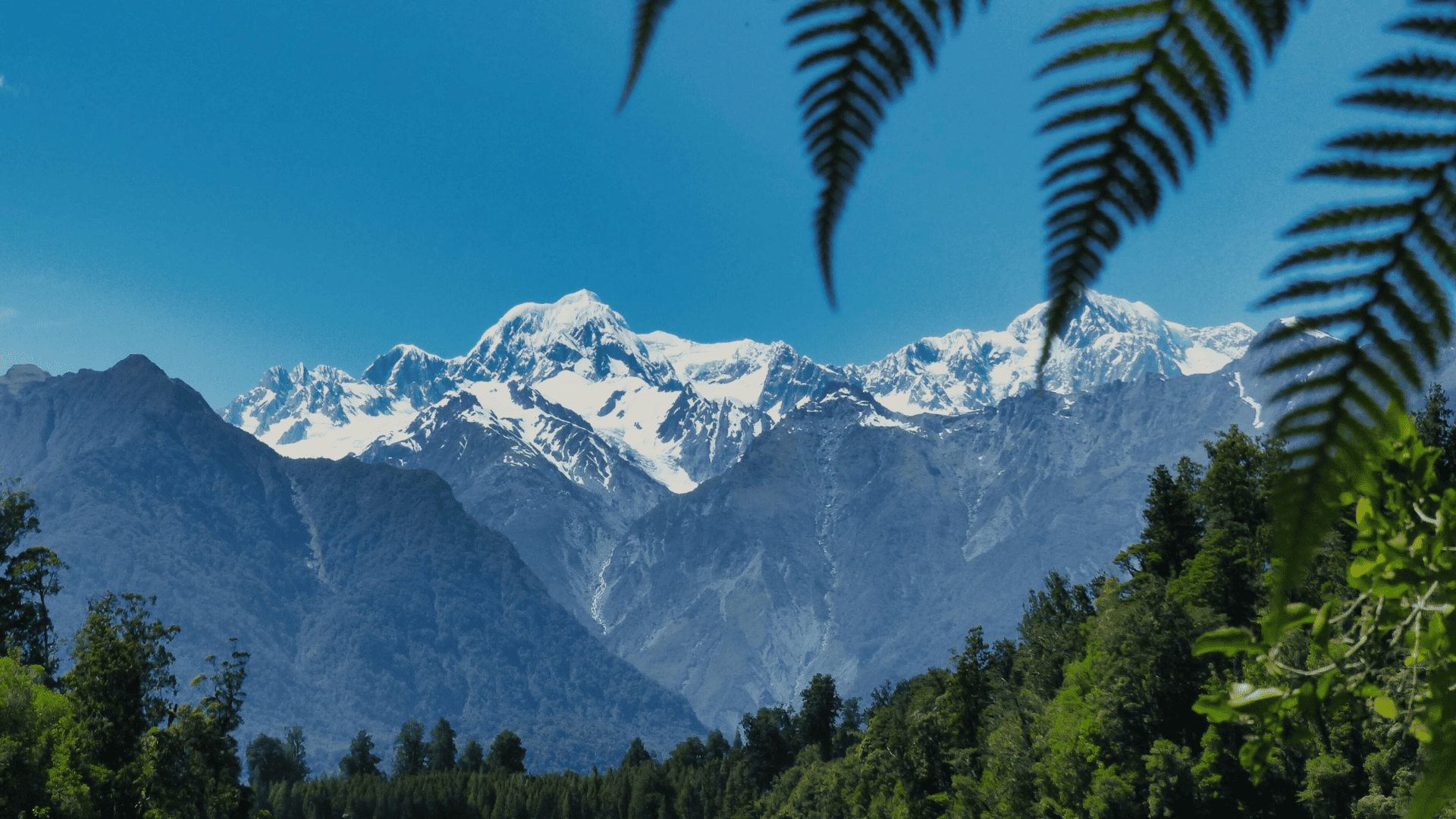 16 Days New Zealand's Remote Luxury Holiday